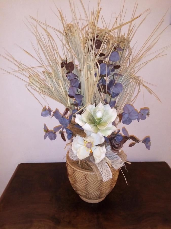 B&B Residence Il Ciliegio , Via Villa Superiore 93 Luzzara 苏扎拉 外观 照片