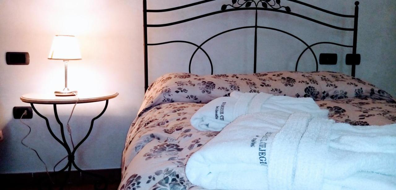 B&B Residence Il Ciliegio , Via Villa Superiore 93 Luzzara 苏扎拉 外观 照片